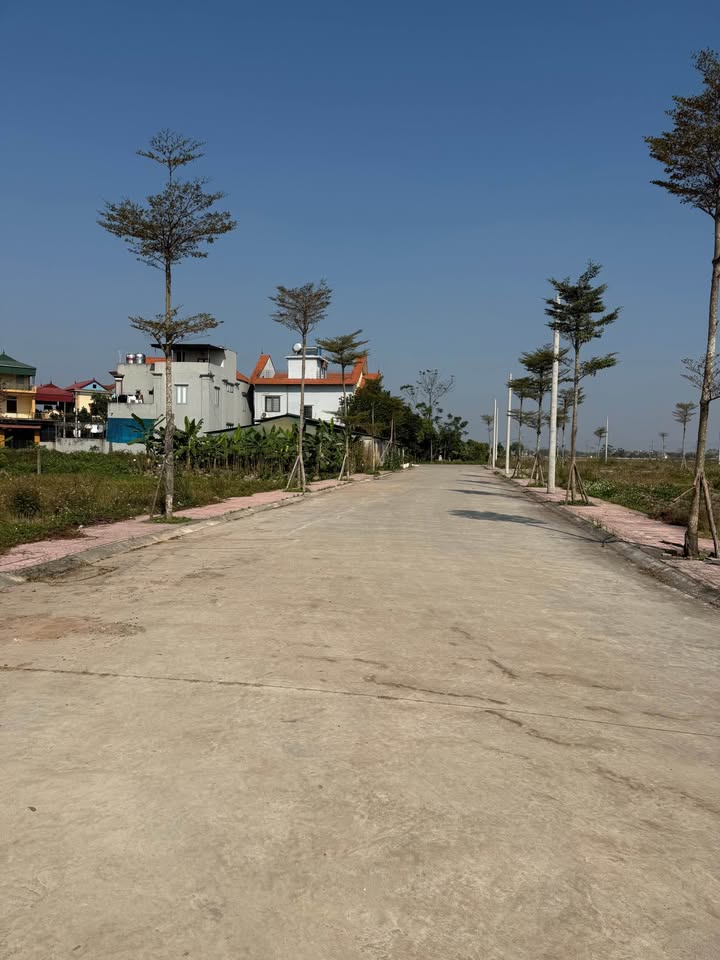 Đất giãn dân thôn Phong Triều, xã Phú Xuyên, 143m² - Mặt tiền 11m, giá chỉ 3 triệu/m²!