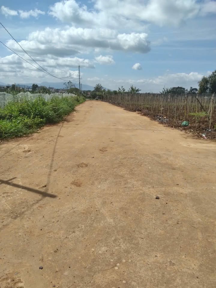 Đất thổ cư 130m² tại Ba Cảng, Tân Hội, Đơn Dương - Giá chỉ 550 triệu!