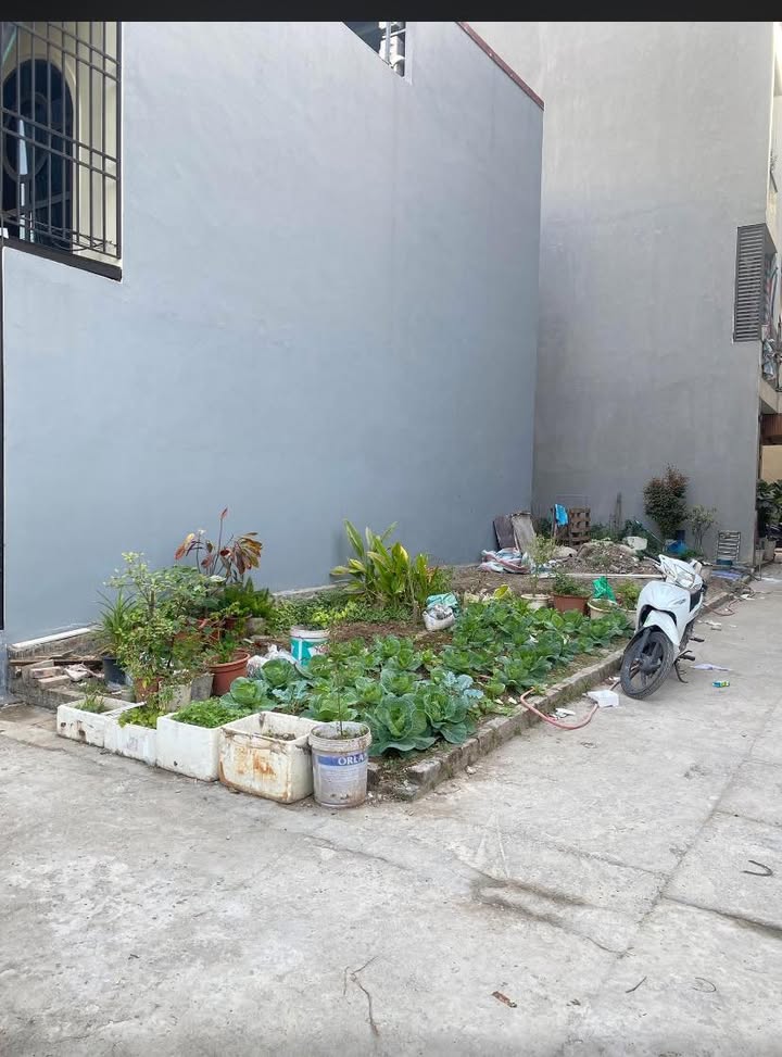 Đất nền Đông Dư, Gia Lâm 35m² giá 3,1 tỷ - Sổ đỏ chính chủ, đầu tư sinh lời!