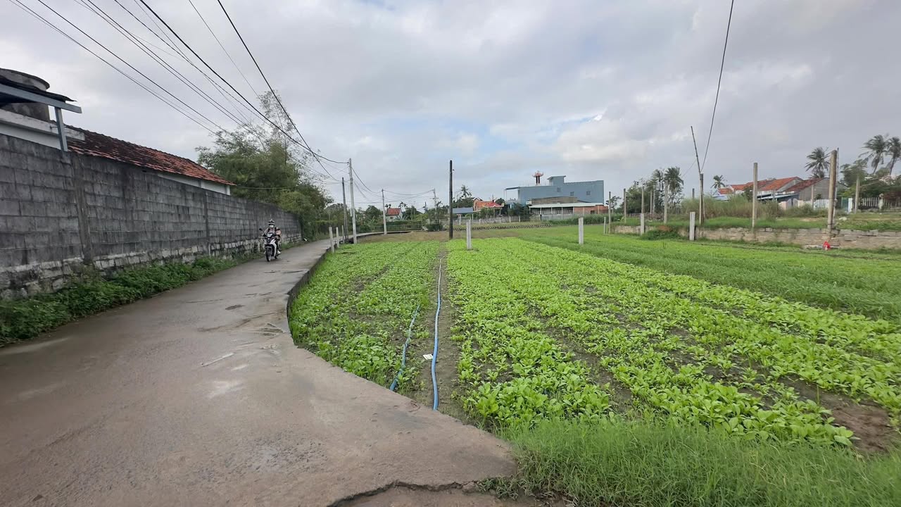 Đất nền lô góc Đông Phước Hòa An 108m² giá 950 triệu - Pháp lý đầy đủ, thương lượng!