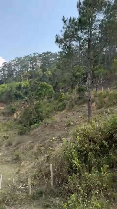 Đất nền Kon Bring, Đắk Long, Đắk Glei 1000m² giá 800 triệu - Cơ hội đầu tư không thể bỏ lỡ!