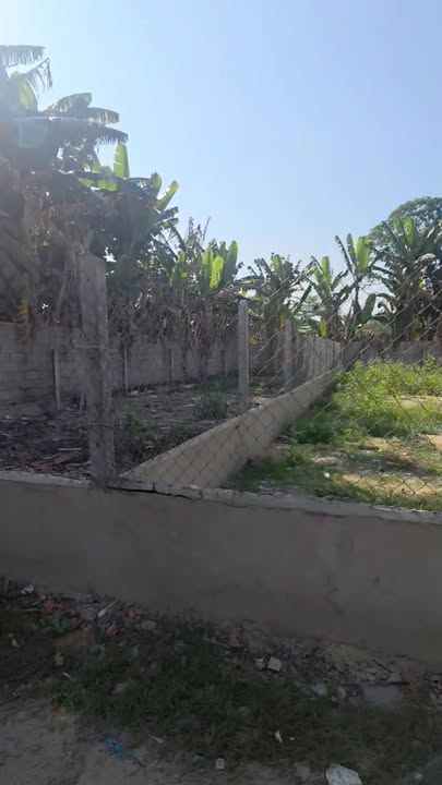 Đất nền Tân Hiệp Hóc Môn 132m² giá 3.5 tỷ - Sổ đỏ chính chủ!