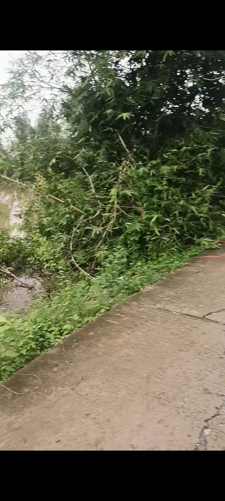 Đất nông nghiệp 2 mặt tiền xã Mỹ Quý 140.000m² giá 3.5 tỷ - Tiềm năng đầu tư tuyệt vời!