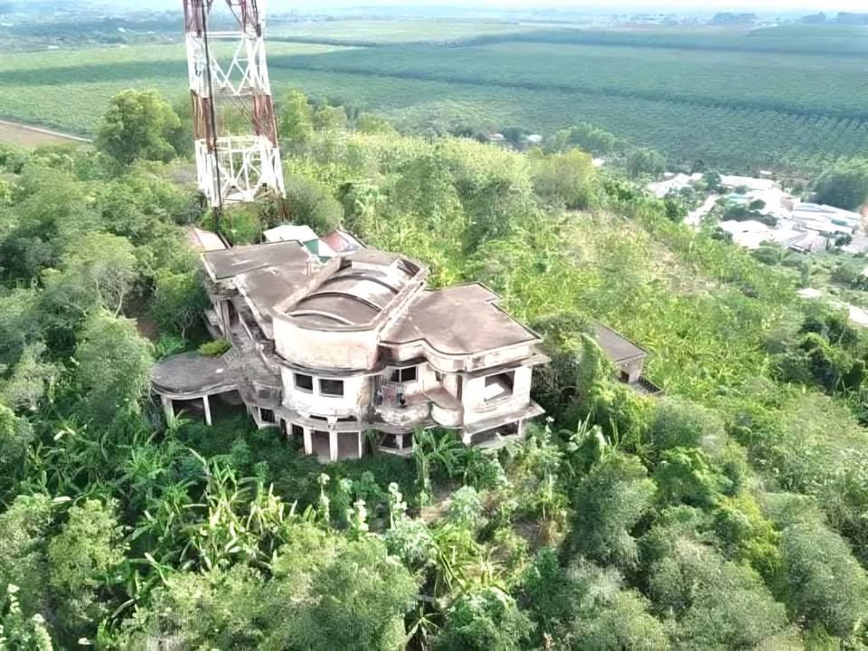 Đất thương mại dịch vụ 7000m² tại Đồi Núi Thị - Long Khánh - Giá 5.6 tỷ - Cơ hội đầu tư vàng!