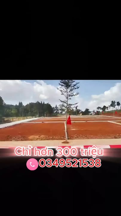 Đất nền 164m² tại Thọ Tân, Triệu Sơn - Giá chỉ từ 300 triệu/lô - Cơ hội đầu tư tuyệt vời!