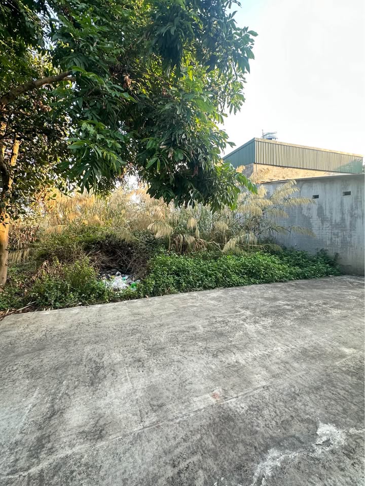 Đất thổ cư Tổ 3 - Khu 10, Thanh Sơn, Uông Bí 253,8m² - Giá thỏa thuận, vị trí đẹp!