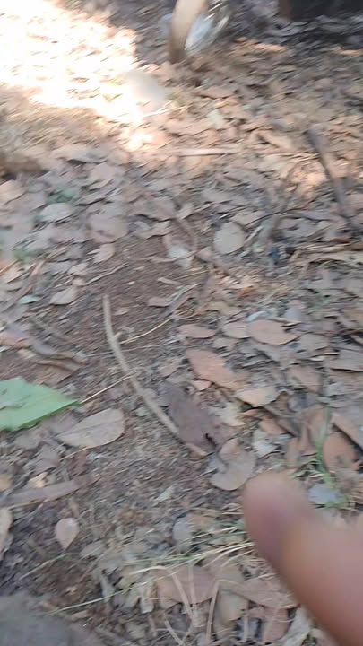 Đất nền 1.6 héc tại xã Ea Bar, huyện Buôn Đôn - Cơ hội đầu tư hấp dẫn!