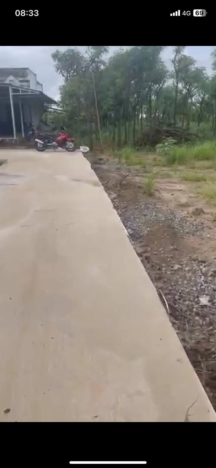 Đất vườn 1200m² tại Bình Nghị, Gò Công Đông chỉ 1.1 tỷ - Tiềm năng đầu tư hấp dẫn!