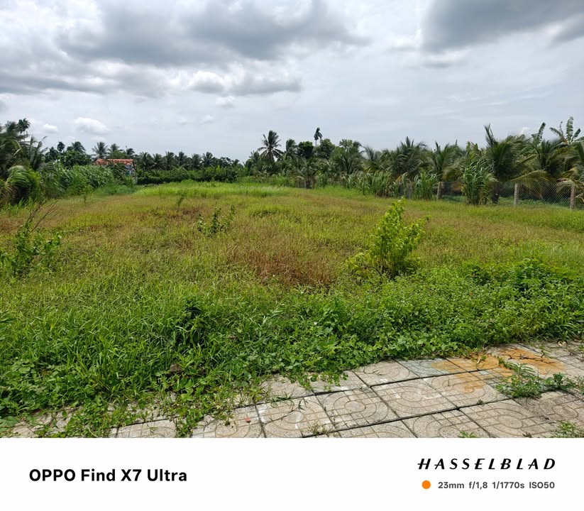 Đất thổ cư Long Hòa A, Đạo Thạnh 1012m² giá 2 tỷ - Đầu tư sinh lời ngay!