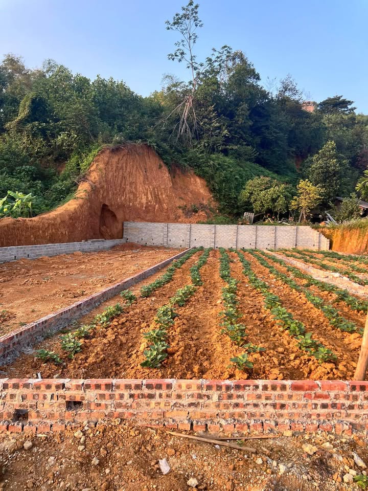 Lô đất 100m² tại xã Tu Vũ, huyện Thanh Thủy - Giá chỉ 5xx triệu!