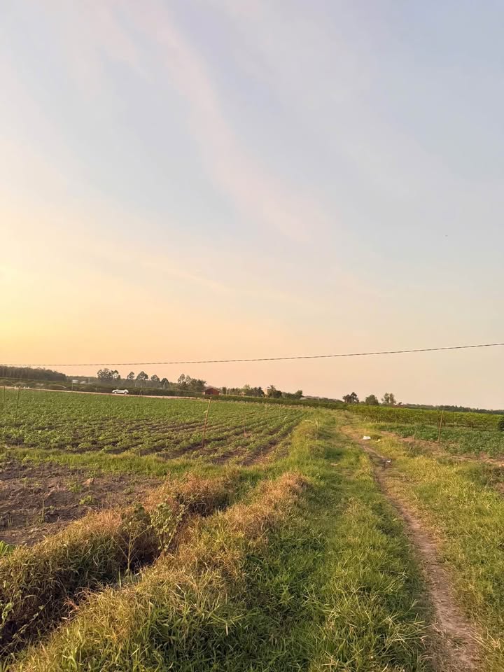 Đất nền Suối Đá, Dương Minh Châu 13000m² giá 2.31 tỷ - Cơ hội đầu tư không thể bỏ qua!