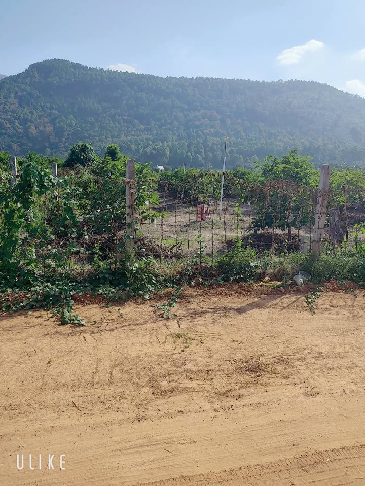 Đất nền thổ cư 150m² tại phường Bình Minh, Tây Ninh - View núi Bà Đen cực đẹp!