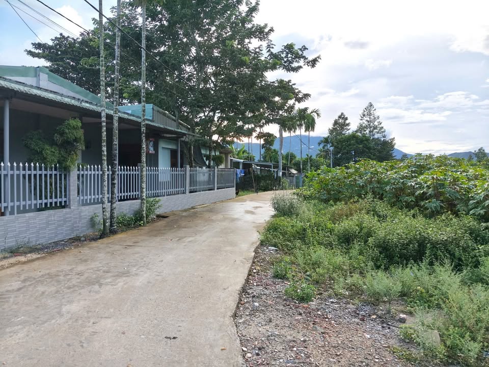 Lô đất vườn Hòa Ninh 8000m² giá 13 tỷ - Đầu tư sinh lời tuyệt vời!