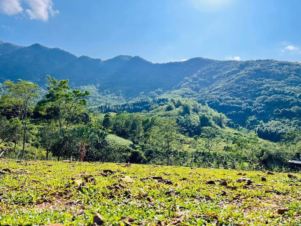 Đất nền Yên Xuân, Thạch Thất 1200m² giá 8.4 tỷ - View đẹp, gần Metro!