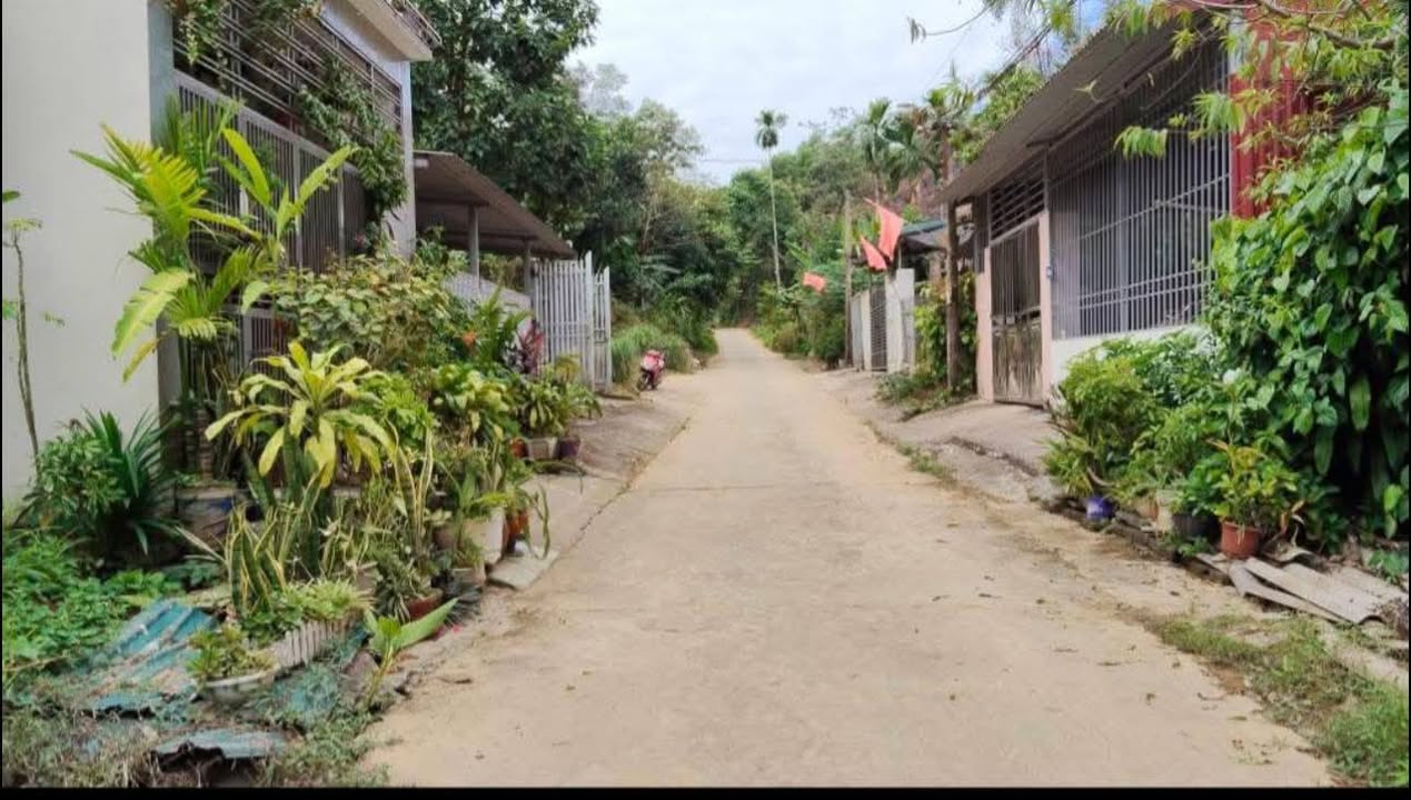 Đất nền Yên Ninh 480m² giá 2.24 tỷ - Mặt tiền đường bê tông rộng rãi!