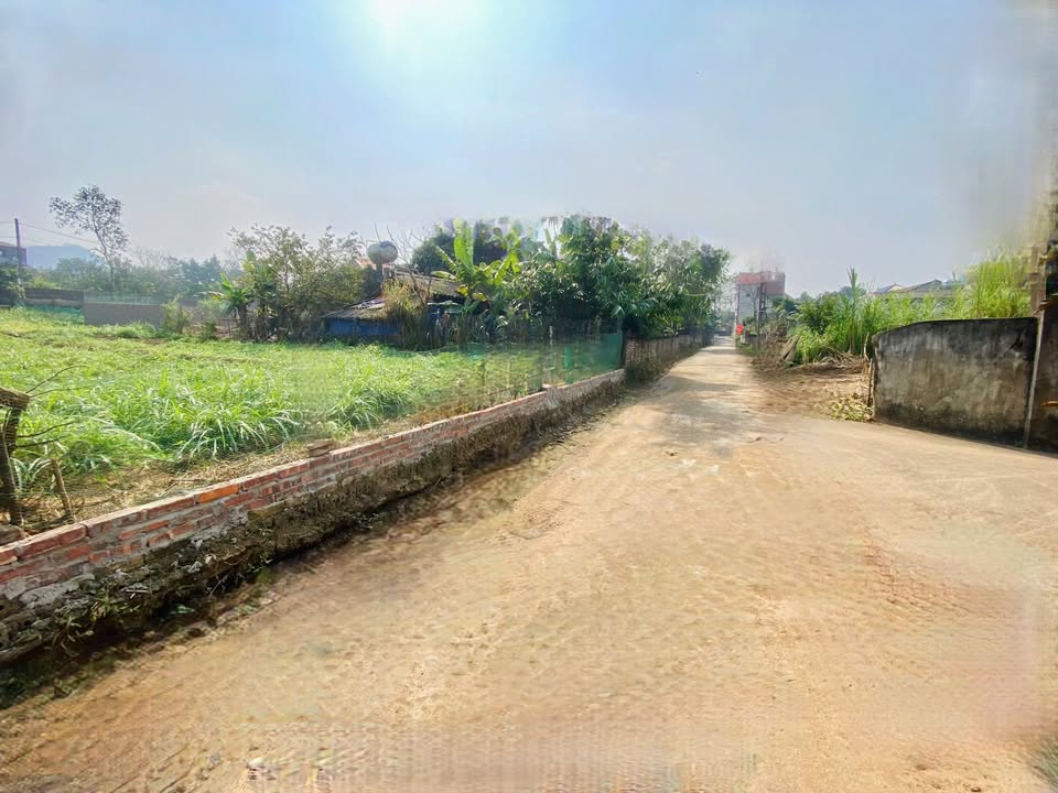 Đất nền 2 ô liền kề xã Thọ Văn, Tam Nông, 276m² - Giá chỉ 5.5 tỷ!