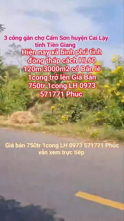 Đất vườn sầu riêng 30000m² ở xã Cẩm Sơn, Cai Lậy - Sổ hồng chính chủ, giá chỉ 750 triệu/công!