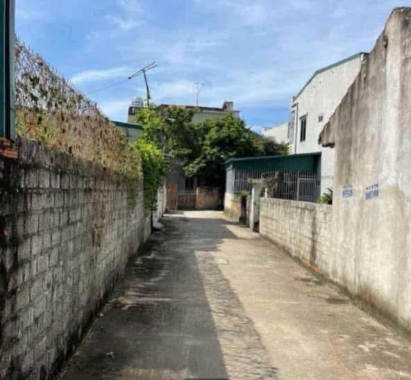 Đất nền khu công nghiệp Lễ Môn, Thanh Hóa 80m² - Giá chỉ 800 triệu!