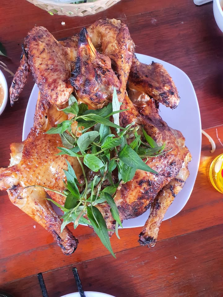 Đất nền khu đô thị Nguyễn Huệ, Quảng Trị 300m² - Giá chỉ 1.75 tỷ!