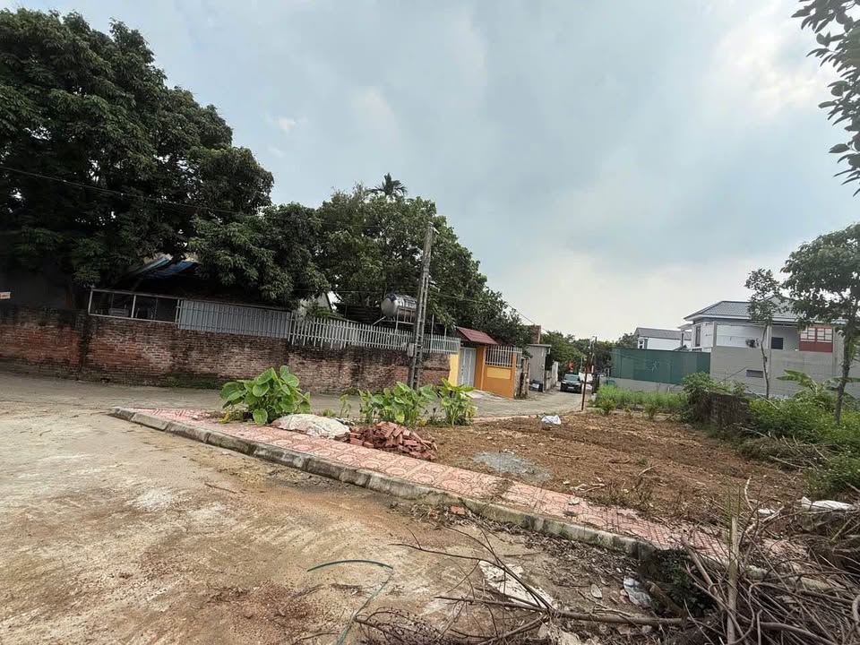 Đất nền 128m² tại Thôn Yên Thái, Xã Phú Cát - Giá 2.9 tỷ, Sổ đỏ chính chủ!