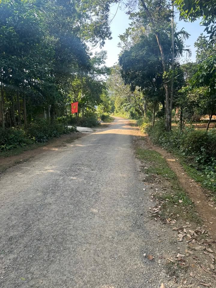 Đất thổ cư 1200m² tại Tân Lâm, Lạc Thủy chỉ 1,44 tỷ - Tiềm năng đầu tư lớn!