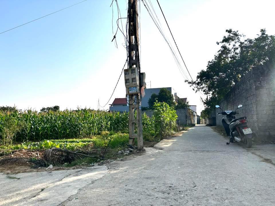 Đất nền Lương Phong, Hiệp Hòa, Bắc Giang 170m² giá chỉ 1 tỷ - Lô góc nở hậu thuận lợi!