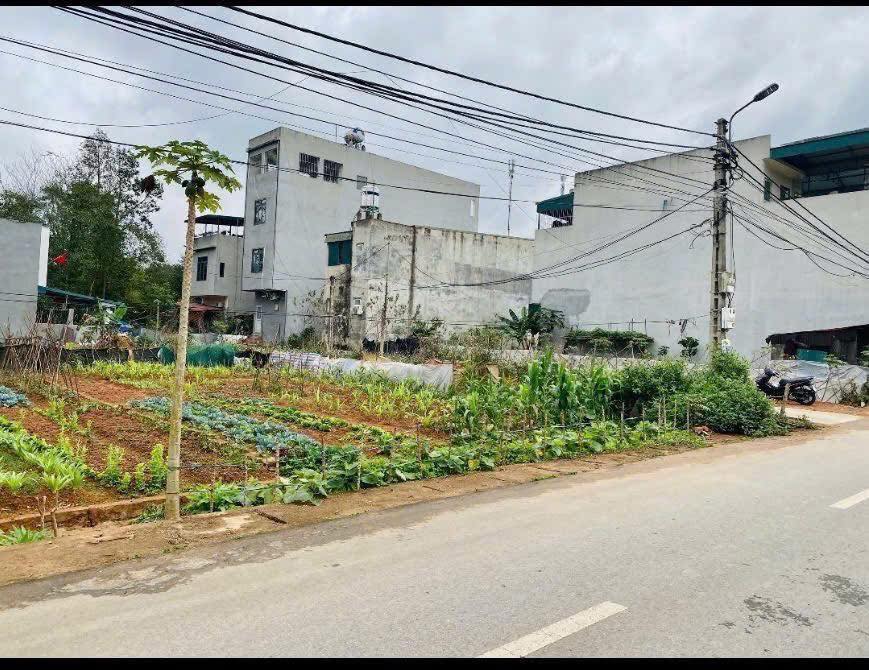 Đất thổ cư Trưng Vương, Việt Trì 81m² giá 4.5 tỷ - Đầu tư sinh lời ngay!