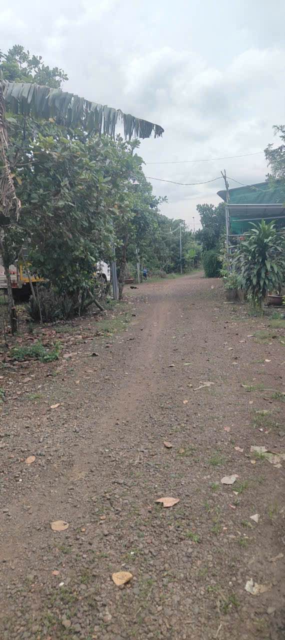 Đất nền Phường Bảo Vinh, TP. Long Khánh 110m² giá chỉ 150 triệu - Cơ hội đầu tư tuyệt vời!