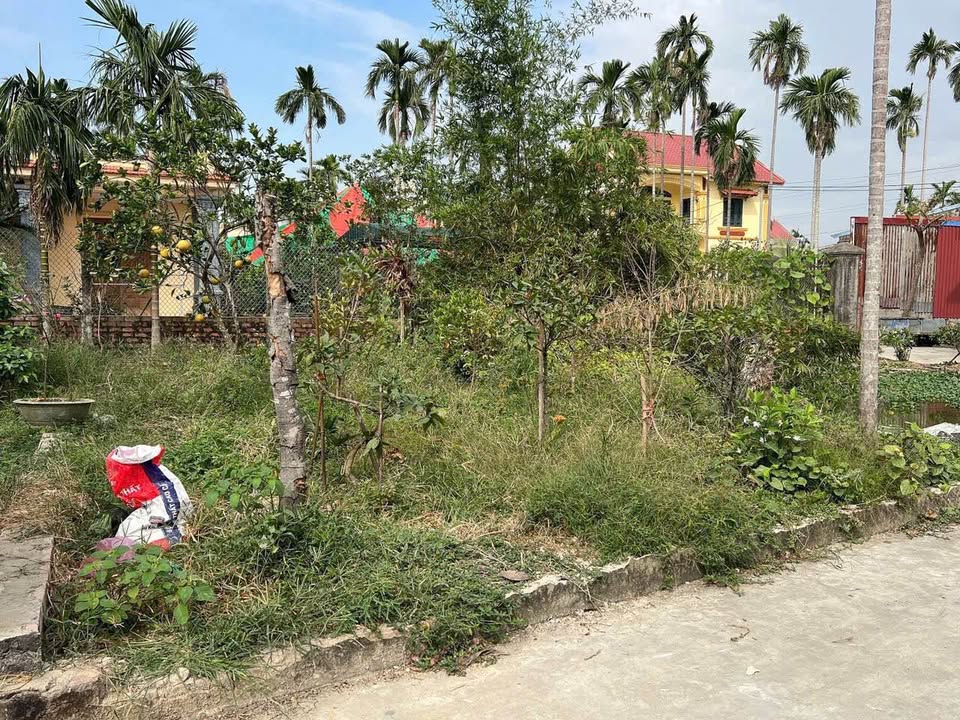 Đất nền Kiều Trung, Hồng Thái 60m² giá chỉ 700 triệu - Cơ hội đầu tư tuyệt vời!