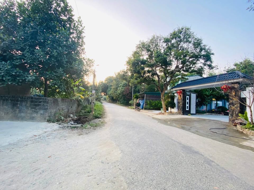 Đất nền Tổ dân phố Phúc Lộ B, An Tường 450m² - Giá thỏa thuận, vị trí thuận lợi!