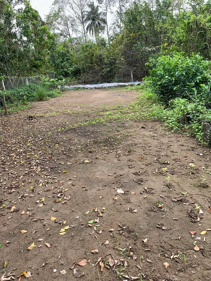 Đất nền Cồn Khương 238m² giá 2.55 tỷ - Sổ đỏ chính chủ, vị trí đắc địa!