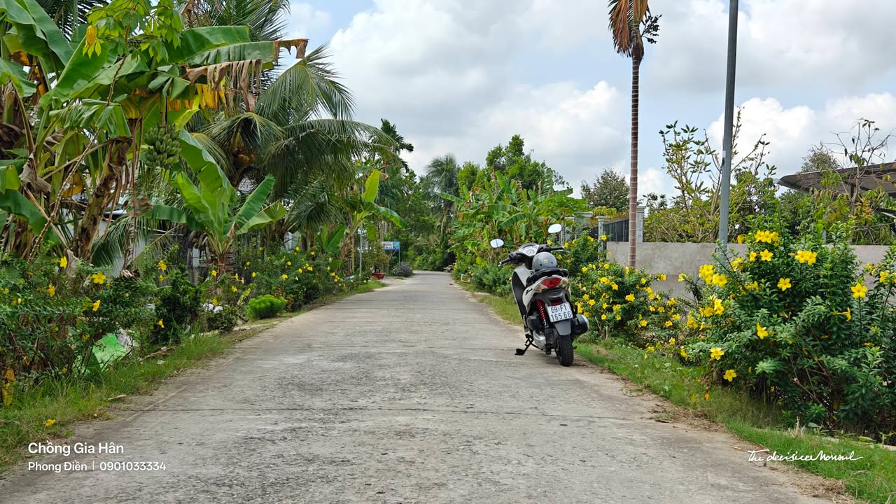 Đất nền Nhơn Ái Phong Điền 300m² giá 850 triệu - Sổ hồng công chứng ngay!