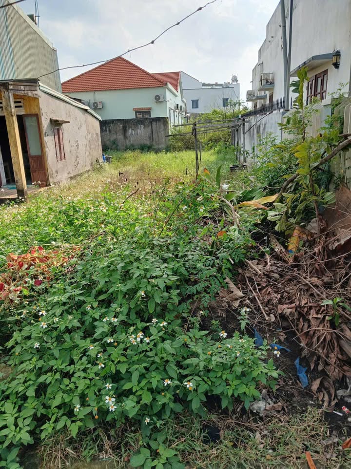 Đất nền kiệt Trảng Kèo 1, Nguyễn Chí Thanh 175m² giá 5.25 tỷ - Cơ hội đầu tư tuyệt vời!