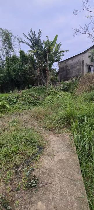 Đất nền Điện Bàn, Quảng Nam 105m² giá 400 triệu - Cơ hội đầu tư hấp dẫn!