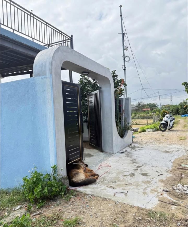 Nhà chính chủ Kiệt Thanh Hà, Hội An 110m² giá 1.6 tỷ - Vị trí cao ráo, không lụt lội!