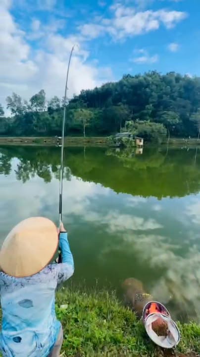 Đất nền 1000m² tại Xã Phong Quang, Hà Giang chỉ 200 triệu - Cơ hội vàng cho nhà vườn!