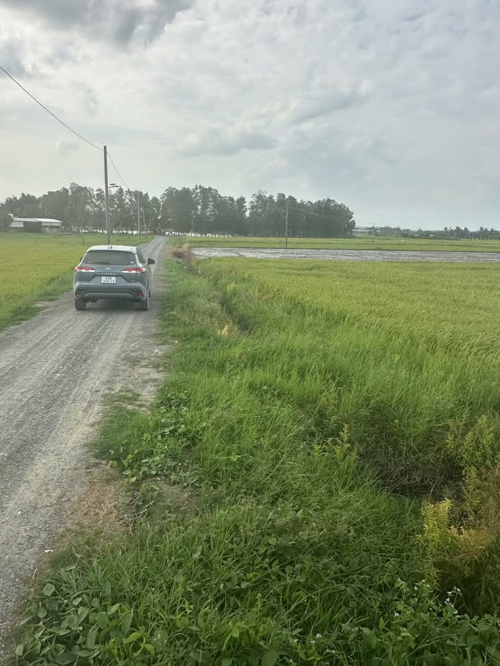 Đất lúa 1400m² tại Xã Hòa Khánh Tây, Đức Hòa - Sổ đỏ chính chủ, giá 1.4 tỷ!