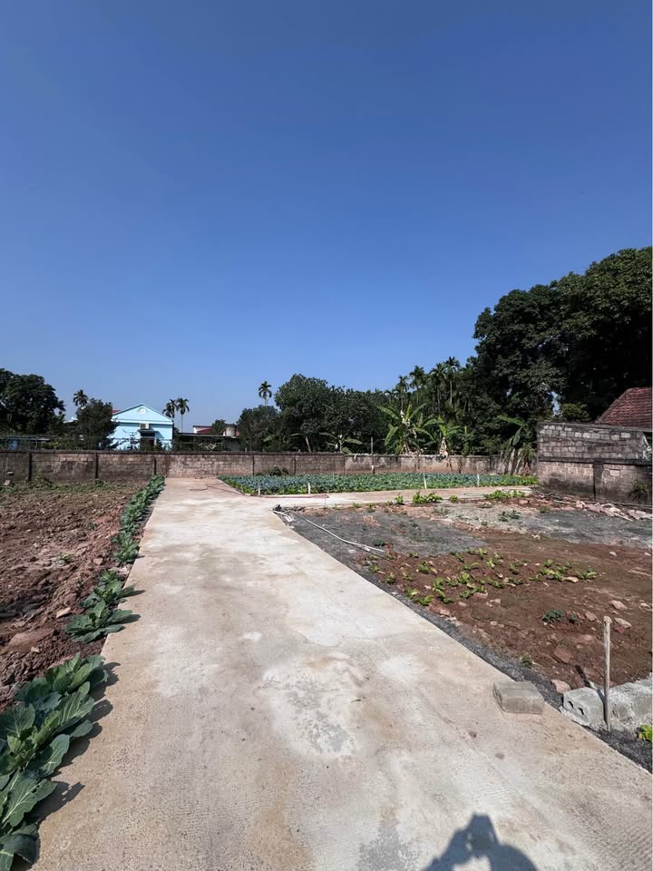 Đất nền thôn 6 Phù Vân 87m² giá chỉ 1 tỷ - Đầu tư sinh lời ngay!