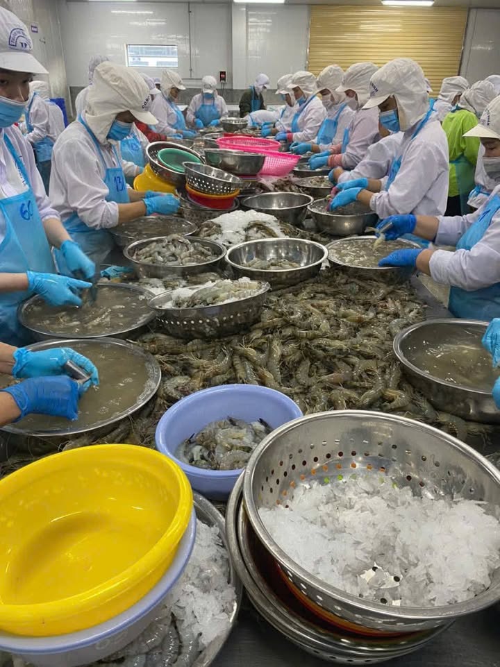 Nhà máy thủy sản xuất khẩu Bạc Liêu 5.961m² giá 160 tỷ - Đầu tư sinh lời bền vững!