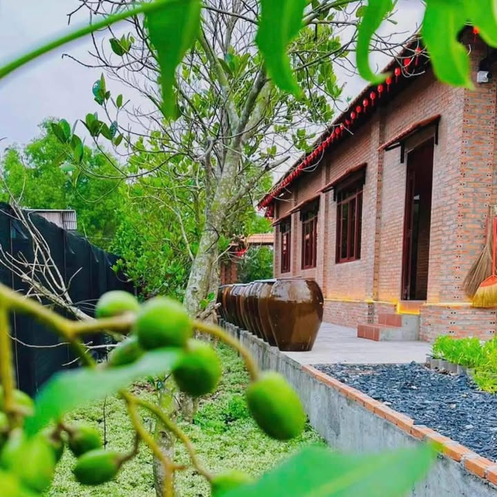 Đất vườn 563m² tại Ấp Tân Thạnh, Gò Công Tây - Giá chỉ 2 tỷ, hướng Bắc mát mẻ!