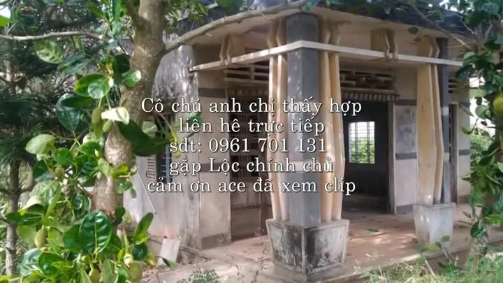 Đất nền xã Hòa Khánh, huyện Cái Bè, Tiền Giang 828m² giá chỉ từ 2 tỷ - Cơ hội đầu tư hấp dẫn!