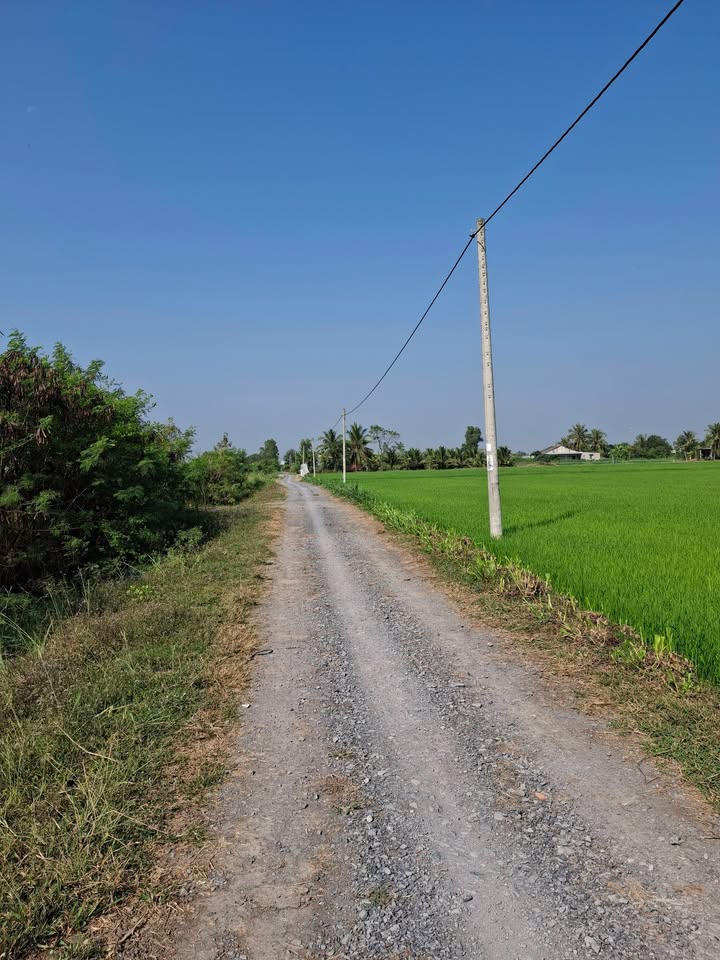 Đất nền 750m² tại Đồng Sơn, Gò Công Tây - Giá 870 triệu, view kênh mát mẻ!