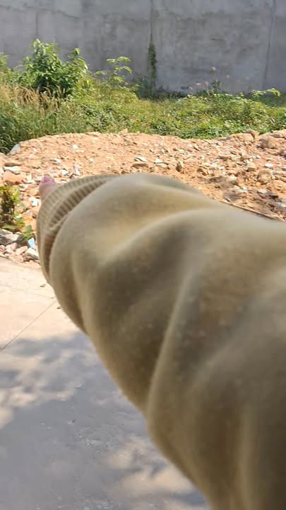 Đất nền ấp Phong Thuận, Mỹ Tho 55m² giá 455 triệu - Cơ hội đầu tư hiếm có!