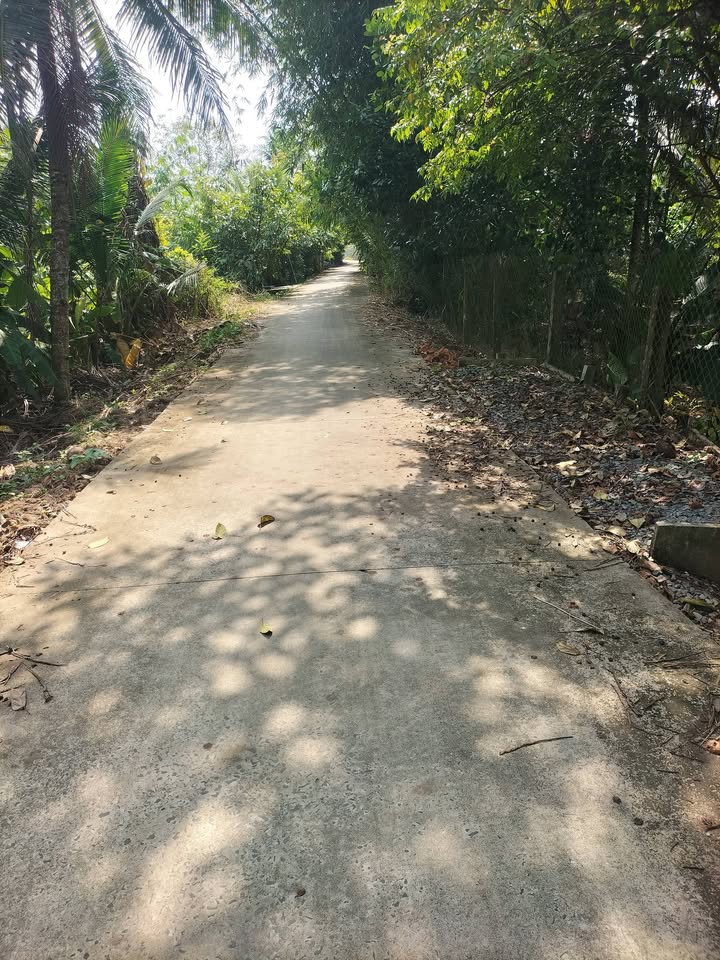 Đất nền xã Bình Trưng 1000m² giá 2.625 tỷ - Mặt tiền 25m, thương lượng ngay!