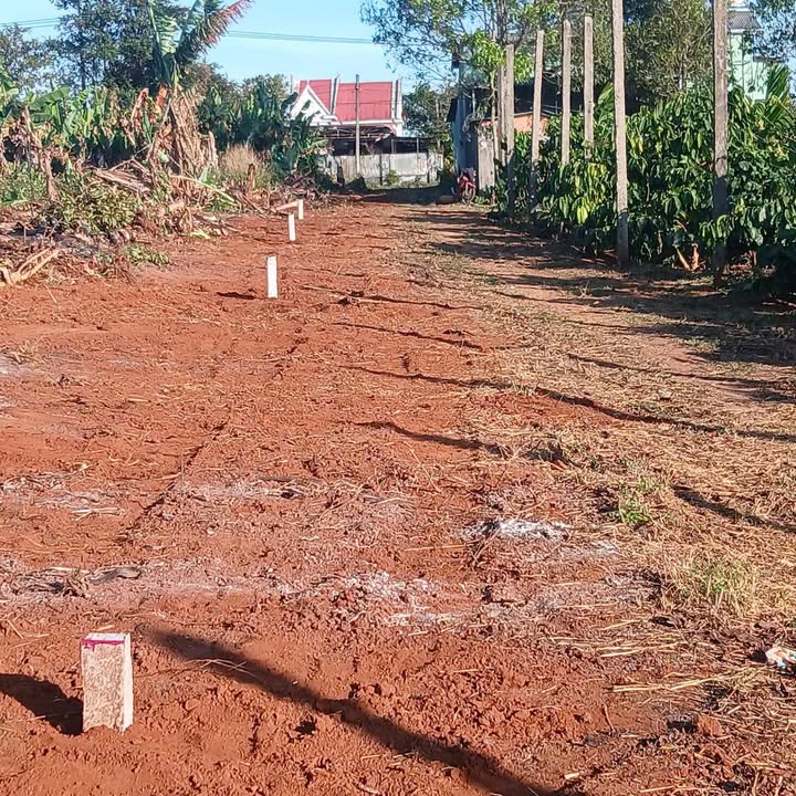 Đất nền dự án xã Ia Hrung 650m² giá chỉ từ 200 triệu - Cơ hội đầu tư sinh lời!