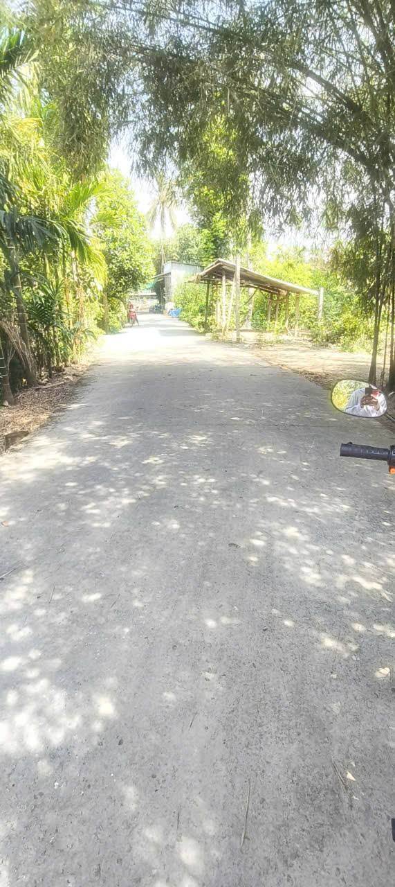 Đất ODT Thới Hòa, Thốt Nốt 73m² giá 450 triệu - Cơ hội đầu tư hấp dẫn!