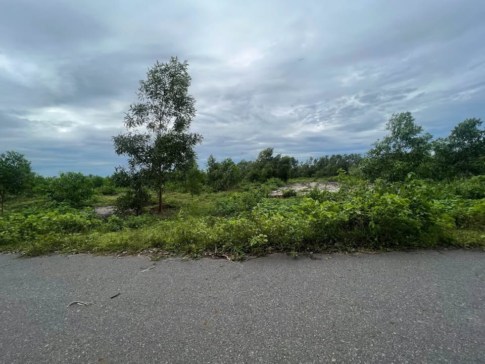 Đất nền Hòa Bình Xuyên Mộc 8000m² giá 4 tỷ - Đầu tư sinh lời ngay!