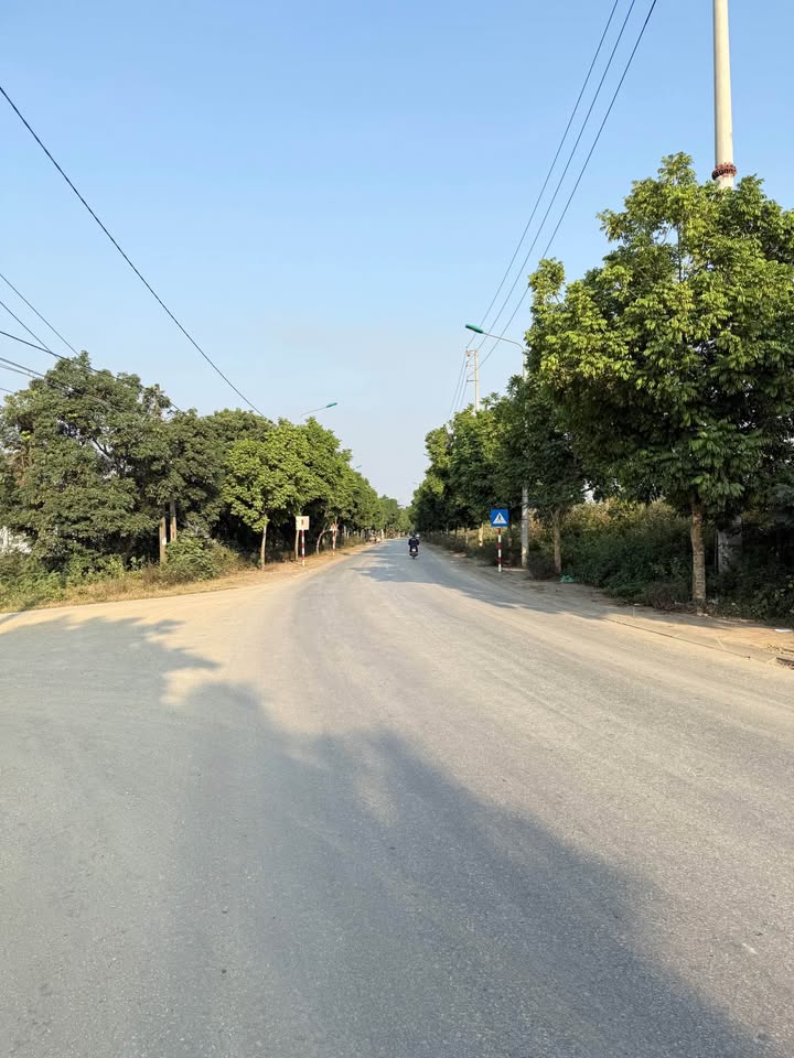 Đất liền kề tại tổ 16, phường An Tường, Yên Sơn - Giá chỉ 1.1 tỷ/mảnh - Hướng Đông Nam tài lộc!