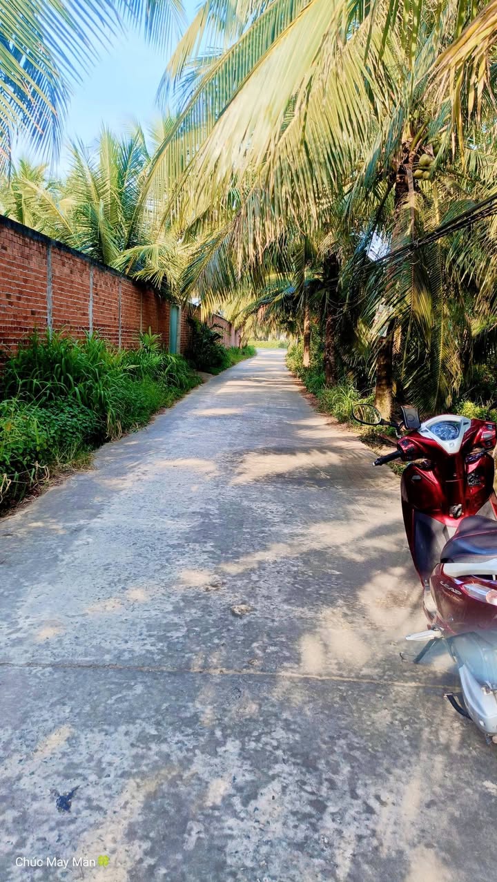 Đất vườn Tân Hưng, Ba Tri 13000m² giá 370 triệu - Cơ hội đầu tư sinh lời!