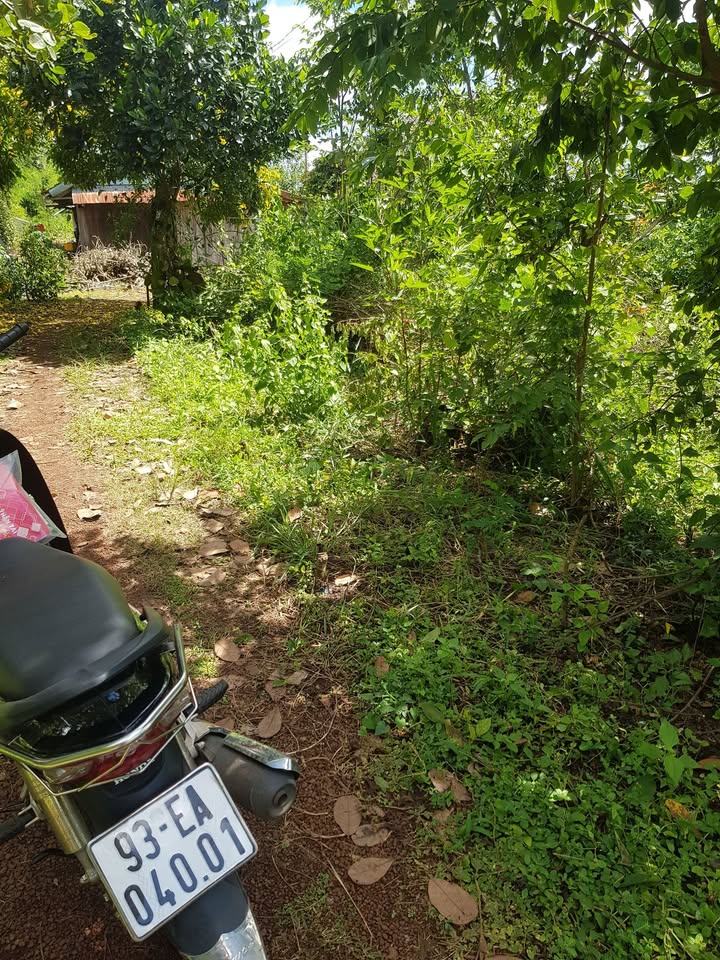 Đất nền Lộc Hiệp, Lộc Ninh 1140m² giá chỉ 300 triệu - Cơ hội đầu tư tuyệt vời!